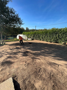 Photo de galerie - Paysagiste - Aménagement du jardin