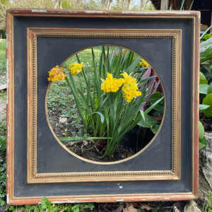 Photo de galerie - Flower 