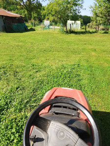 Photo de galerie - Tonte de pelouse - Débroussaillage