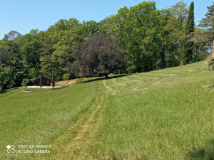 Photo de galerie - Tonte