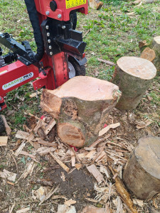Photo de galerie - Fendage de bois 