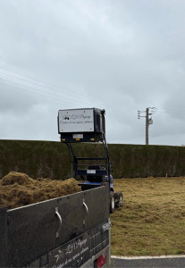 Photo de galerie - Scarification d’un gazon, ramassage de la mousse et tonte. 