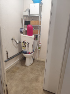Photo de galerie - Réorganisation et nettoyage de ses toilettes. 