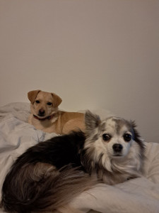 Photo de galerie - C'est l'heure du dodo