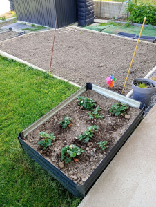 Photo de galerie - Réalisation d un potager en dur et carrés potagers 