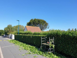 Photo de galerie - Jardinage 