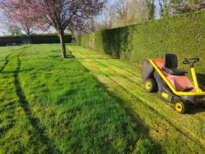 Photo de galerie - Tonte de pelouse - Débroussaillage