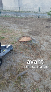 Photo de galerie - Elagage et coupe d'arbres