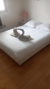 Photo de galerie - Ménage