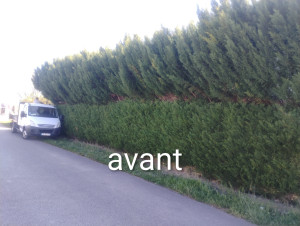 Photo de galerie - Avant le travail fait 