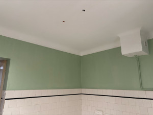 Photo de galerie - Peinture mur et plafond 