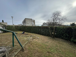 Photo de galerie - Réduction sur une haie de laurier 