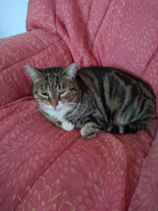 Photo de galerie - Janvier 2026