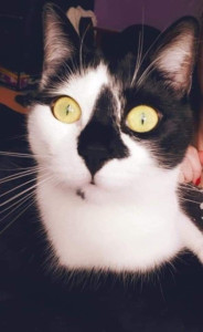 Photo de galerie - Ma beauté à moi, Ma Sushi, sauver de la rue il y a 8 ans ?