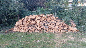 Photo de galerie - Pour le plaisir du client, débitage du cèdre en tronçons de 50cm. Parfait pour bien démarrer un feu ou un barbecue ??