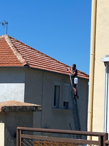 Photo de galerie - Demoussage et hydrofuge