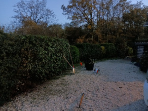 Photo de galerie - Taille de haie entretien du jardin.