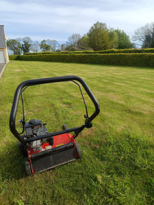 Photo de galerie - Scarification 