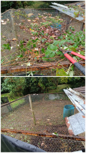 Photo de galerie - Paysagiste - Aménagement du jardin