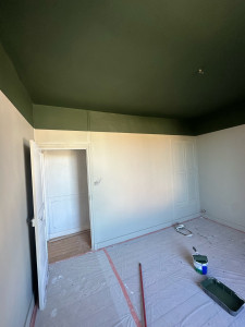 Photo de galerie - Rénovation, toile peinte + peinture 