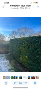 Photo de galerie - Haies