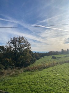 Photo de galerie - Terrain pour pâture