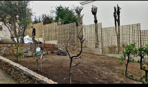 Photo de galerie - Preparation d' un terrain +entretien des végétaux +plantations de diverses espéces de végetaux choisies par le client 