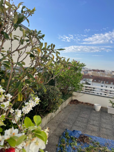 Photo de galerie - Entretien des balcons 