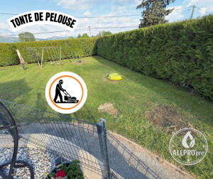 Photo de galerie - Entretien pelouse 
