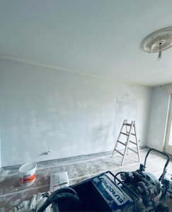 Photo de galerie - Peinture / Enduit