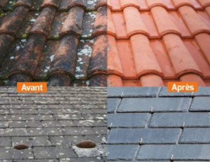 Photo de galerie - Couverture - Toiture