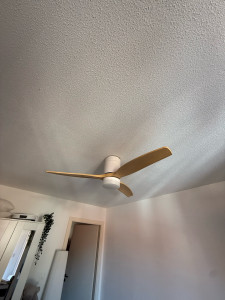 Photo de galerie - Ventilateur plafond 