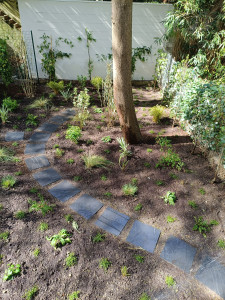 Photo de galerie - ? Tonte de pelouse
? Taille des haies et arbustes
? Désherbage et nettoyage
? Plantation de fleurs et végétaux
? Entretien général du jardin
? Rempotage et entretien des plantes
♻️ Évacuation des déchets verts