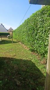 Photo de galerie - Apres