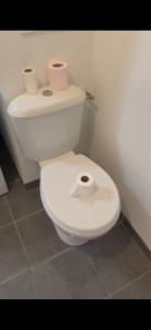 Photo de galerie - Je nettoie bien les toilettes 