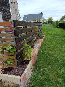 Photo de galerie - Renouvellement massif 
