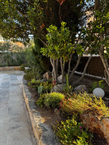 Photo de galerie - Aménagement d’un massif sur terrasse en travertin et piscine aux abords