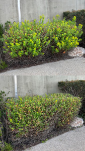 Photo de galerie - Avant / après 