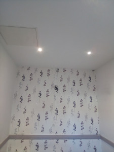 Photo de galerie - Plafond repeint