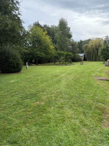 Photo de galerie - Tonte de pelouse - Débroussaillage