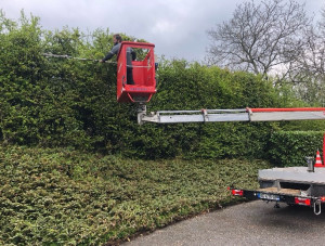 Photo de galerie - .