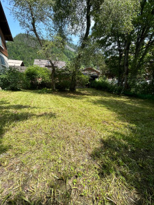 Photo de galerie - Tonte pelouse