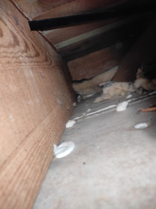 Photo de galerie - Nettoyage après dégât des eaux sur toiture traitement sporicide fongicide vapeur sèche
