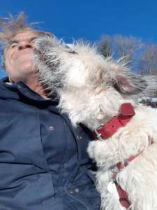 Photo de galerie - Garde chien