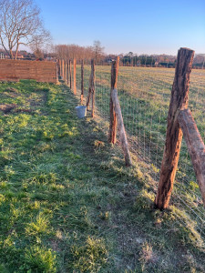 Photo de galerie - Pose de clôture à moutons