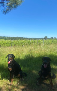 Photo de galerie - Garde