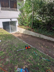 Photo de galerie - Tonte de pelouse - Débroussaillage