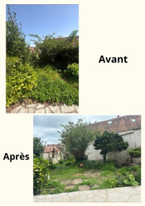 Photo de galerie - Taille de haies et d'arbustes