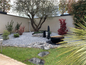 Photo de galerie - Aménagement avec gravier et plante 