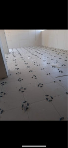 Photo de galerie - Carrelage